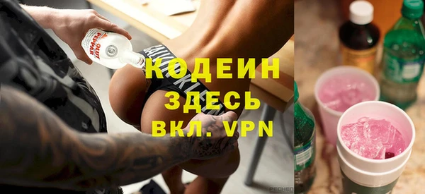мдпв Вяземский