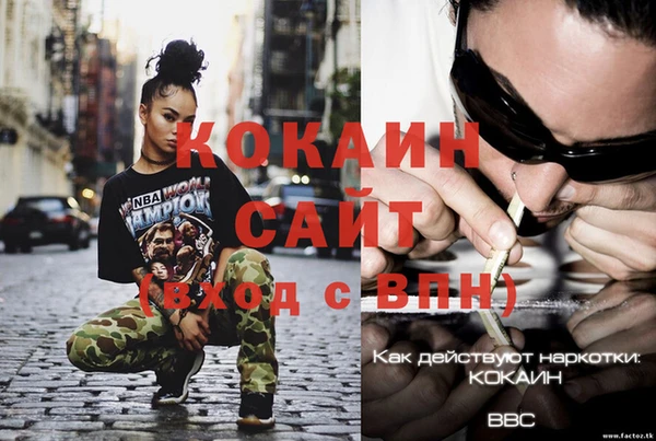 мдпв Вяземский