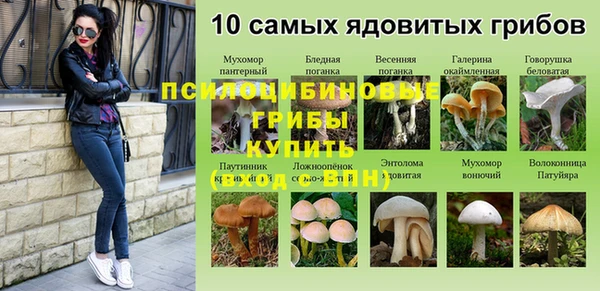 мдпв Вяземский