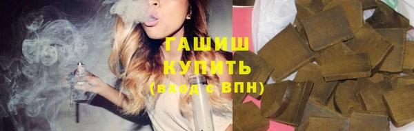 мдпв Вяземский