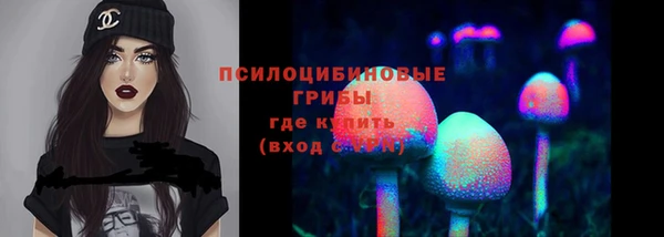 мдпв Вяземский