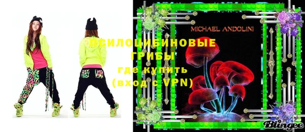 мдпв Вяземский